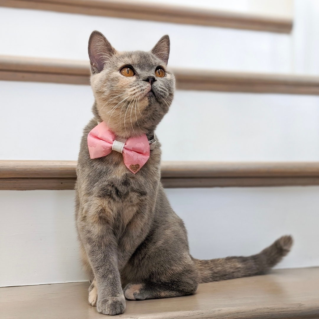 Pink Floral Mulberry Silk Bow Tie