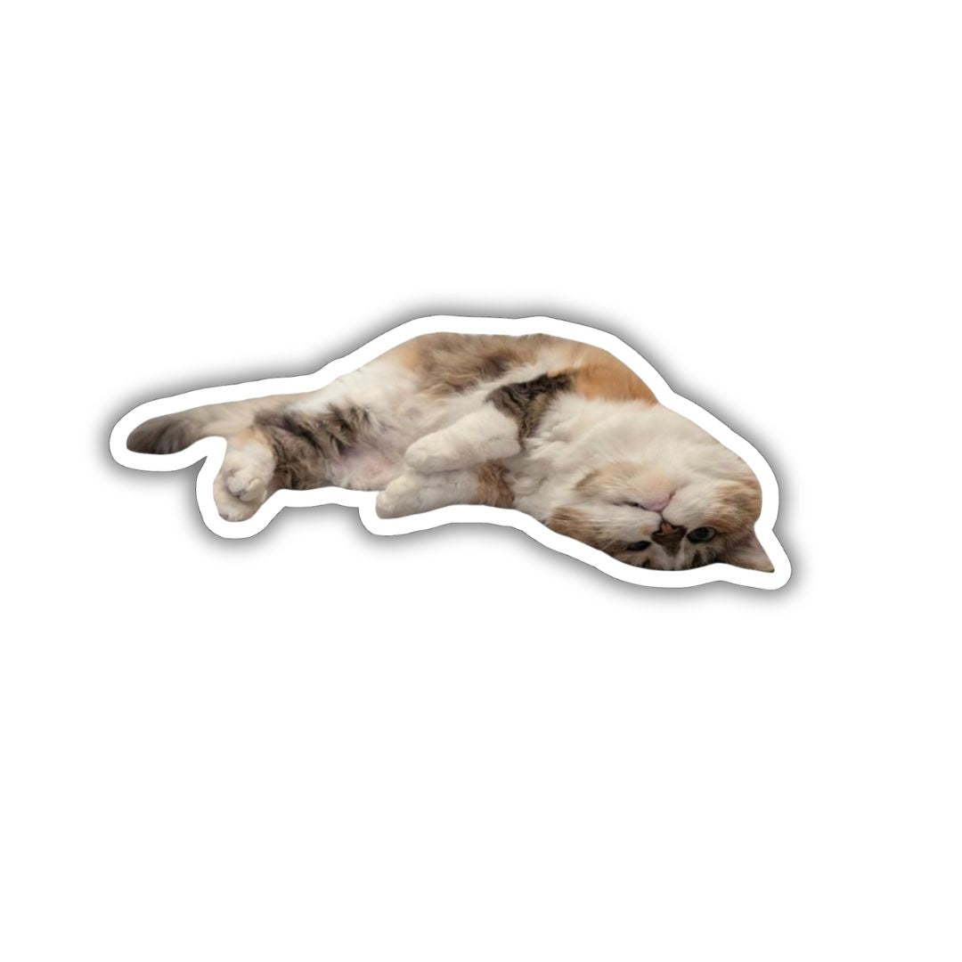 Custom Pet Sticker Keepsake Set