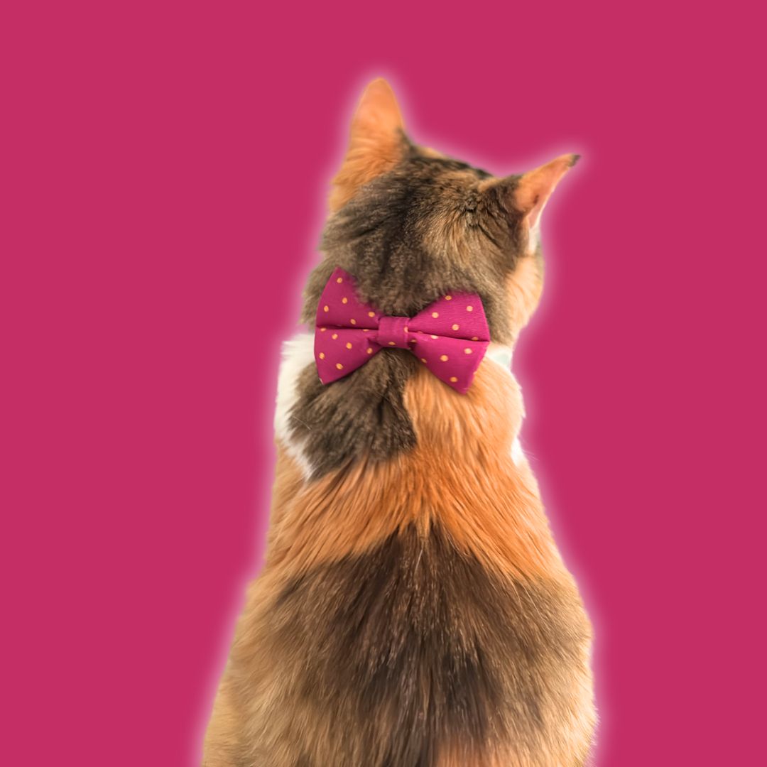 Magenta & Golden Polka Dot Bow Tie