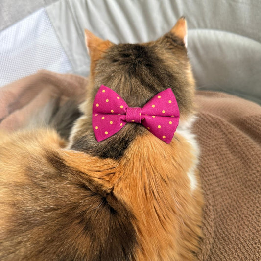 Magenta & Golden Polka Dot Bow Tie