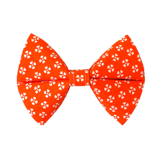 Close-up of a vibrant orange bow tie, showcasing its intricate design and fine craftsmanship.