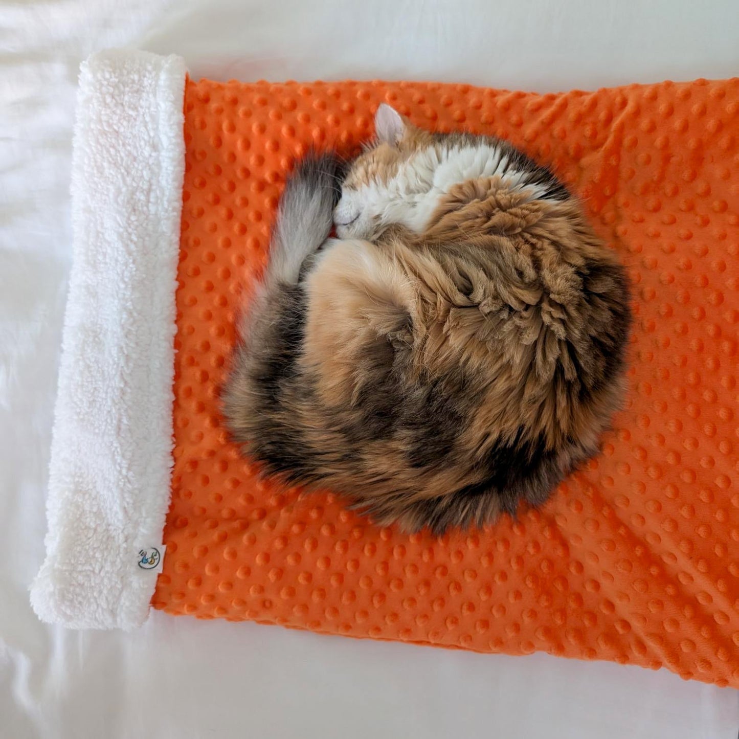 Cat sleeping on an orange pet bed with a white fleece border
