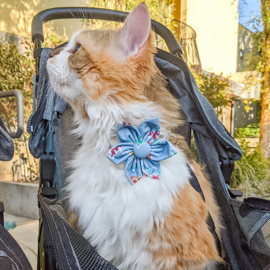 Baby Blue Floral Dog and Cat Collar Multi-Way - Whiskerful 5