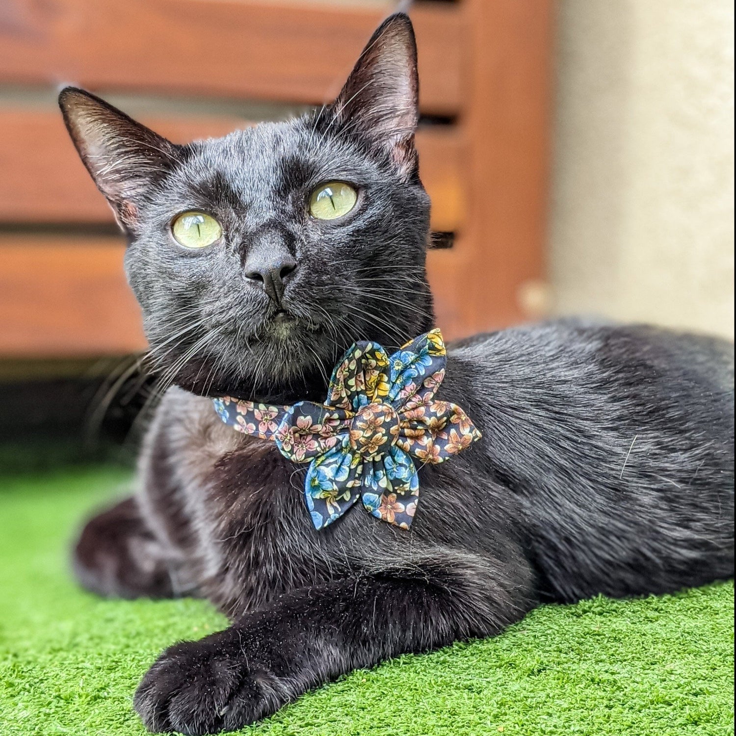 Dog and Cat Indigo Floral Collar and Flower- Whiskerful 15
