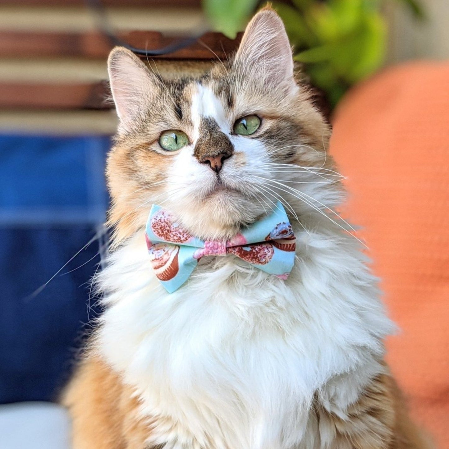 Organic Egyptian Cotton Blue & Pink Donuts and Cupcakes Collar and Bow Tie for Cats and Dogs - Whiskerful 5