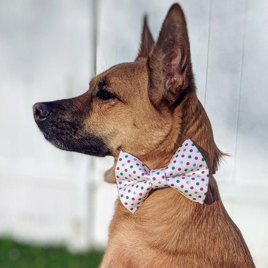 Red and Green Polka Dots Bow Tie for Dogs and Cats - Whiskerful 3