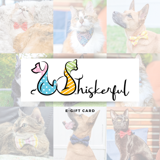 Whiskerful Gift Card