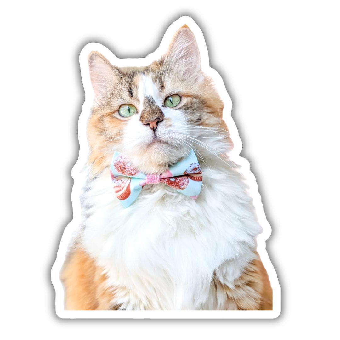 Custom Pet Sticker Keepsake Set
