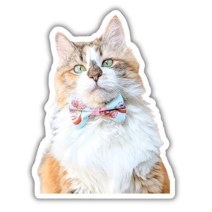 Custom Pet Sticker Keepsake Set