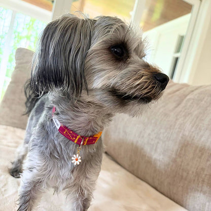 Magenta & Golden Polka Dot Collar with Daisy Charm