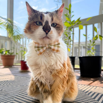 Olive & Amber Plaid Bow Tie with Draped Gold Chains & Charms