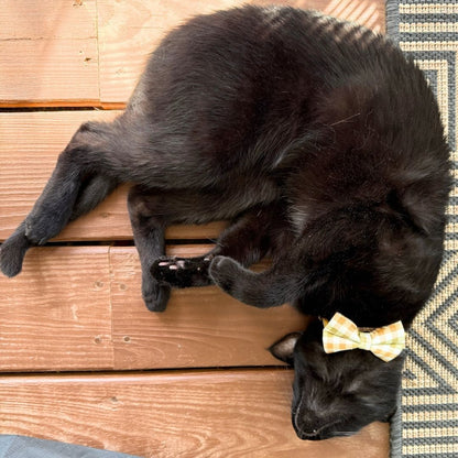 Olive & Amber Plaid Bow Tie with Draped Gold Chains & Charms