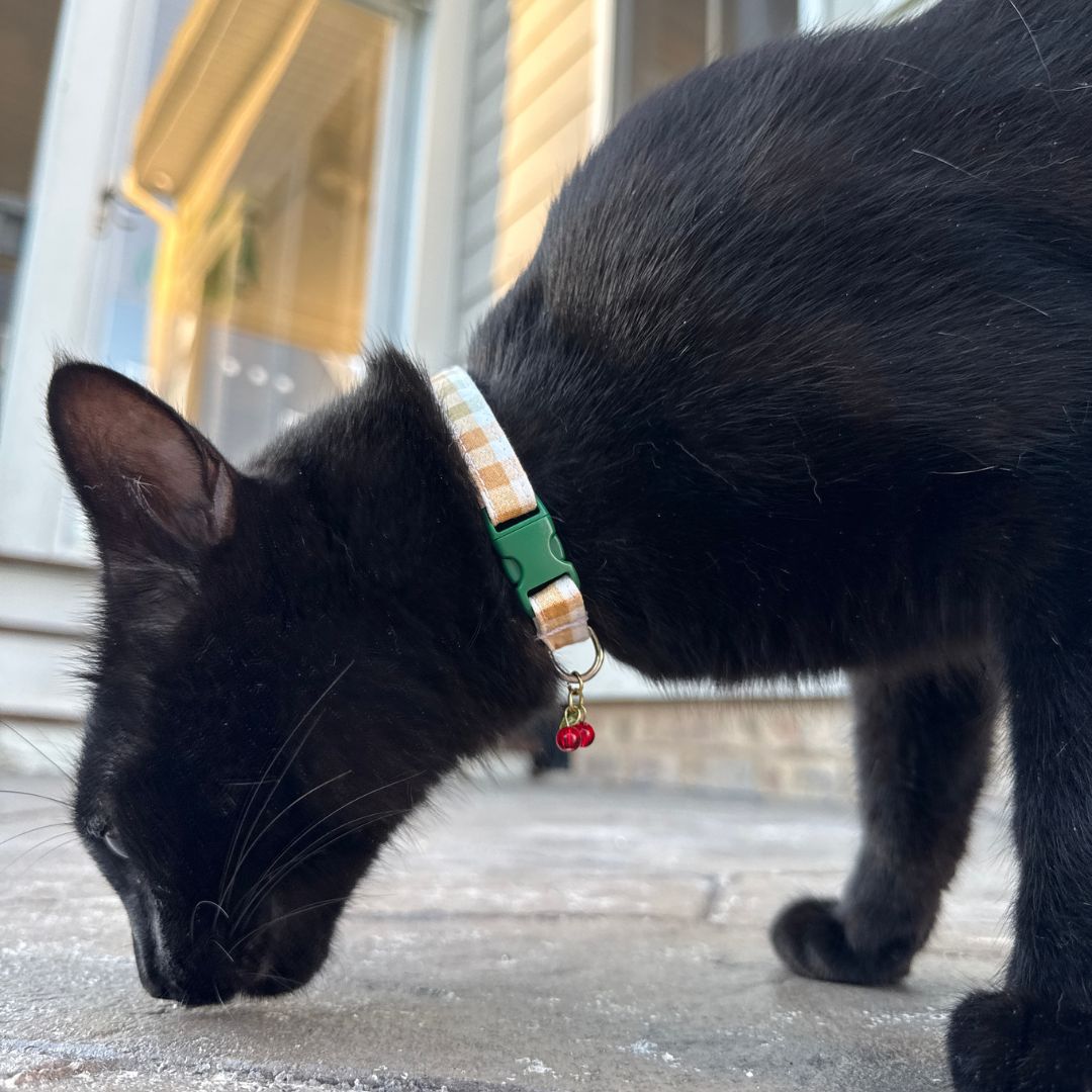 Olive and Amber Plaid Collar with Cherry Charm