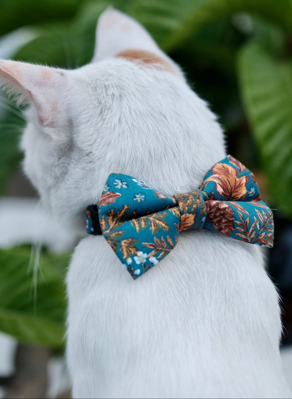 White cat wearing a teal and gold paisley bow tie with a green leafy background