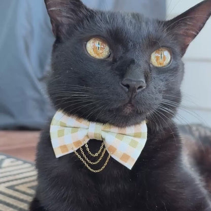 Olive & Amber Plaid Bow Tie with Draped Gold Chains & Charms