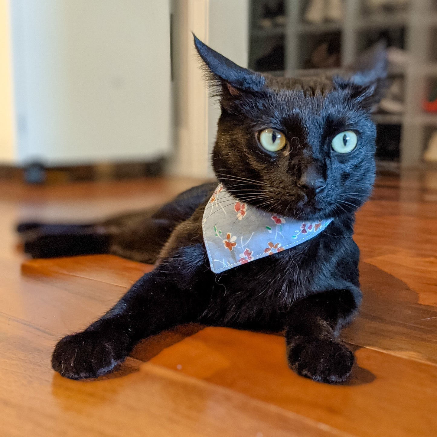 Baby Blue Floral Bandana