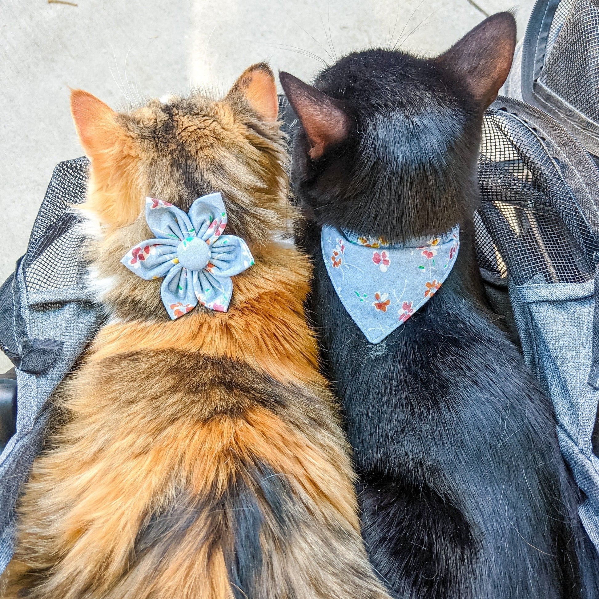 Baby Blue Floral Dog and Cat Collar Multi-Way - Whiskerful 1