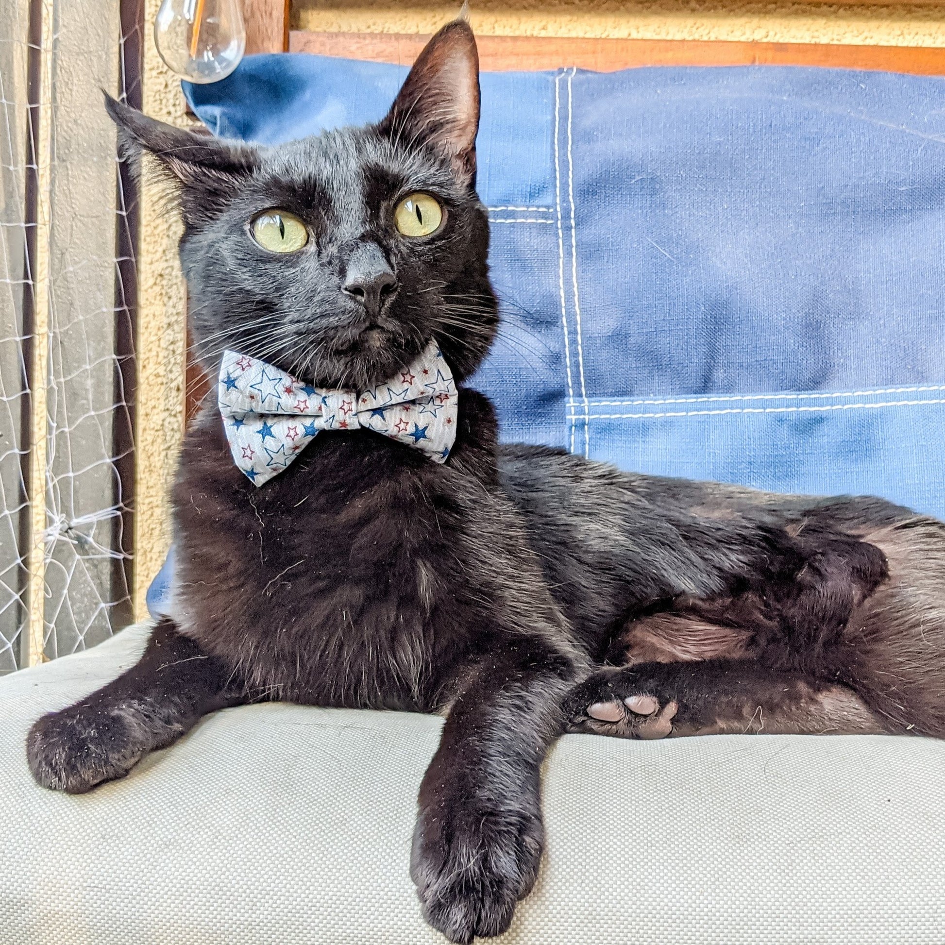 Blue and Red Stars Bow Tie for Dogs and Cats - Whiskerful 6