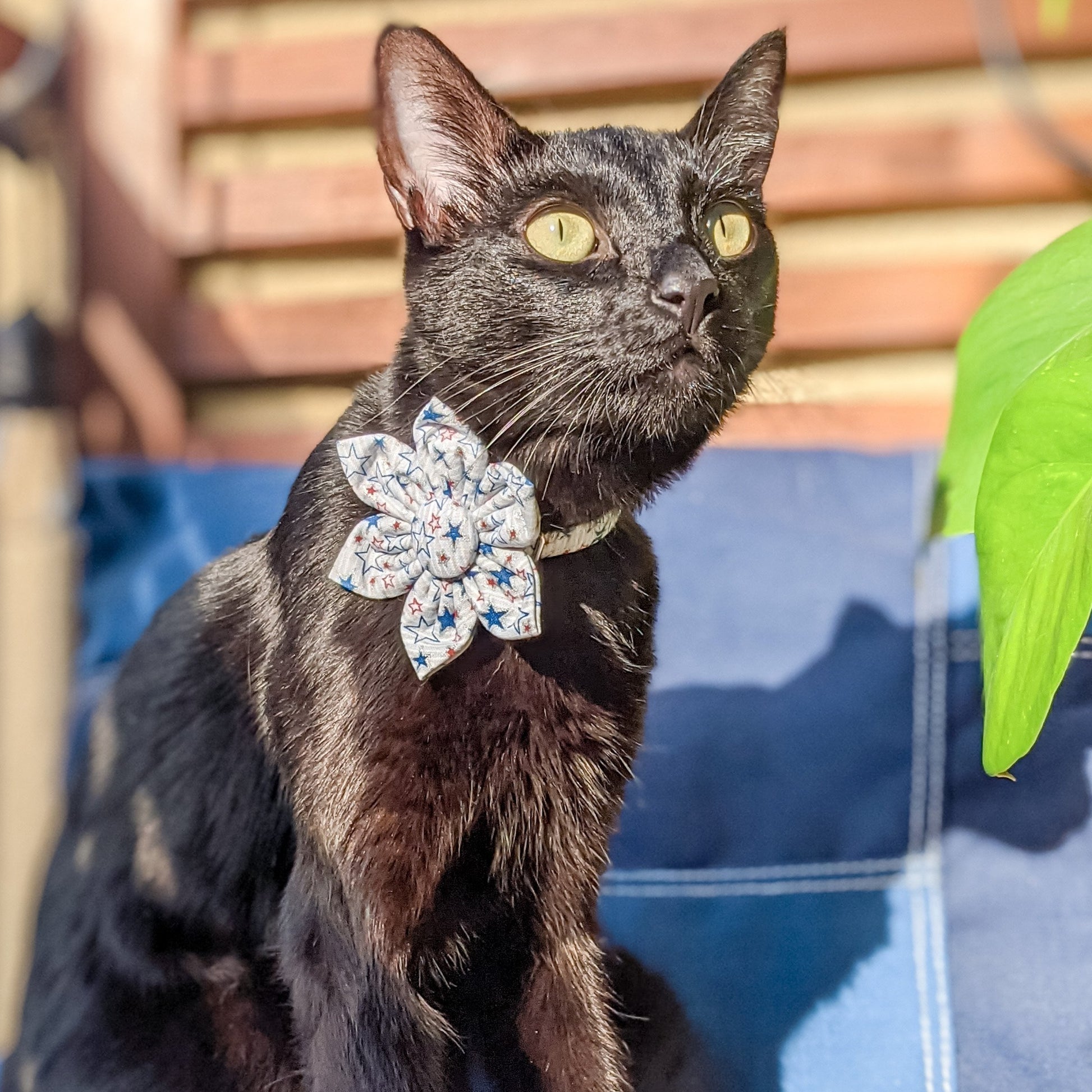 Blue and Red Stars Kanzashi Flower for Dogs and Cats - Whiskerful 4