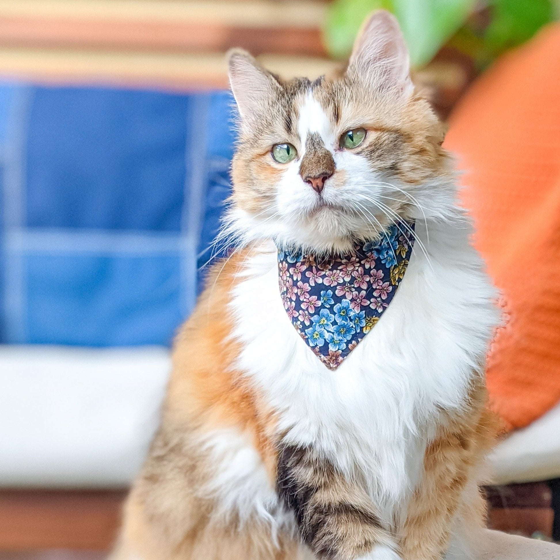 Dog and Cat Indigo Floral Bandana - Whiskerful 2
