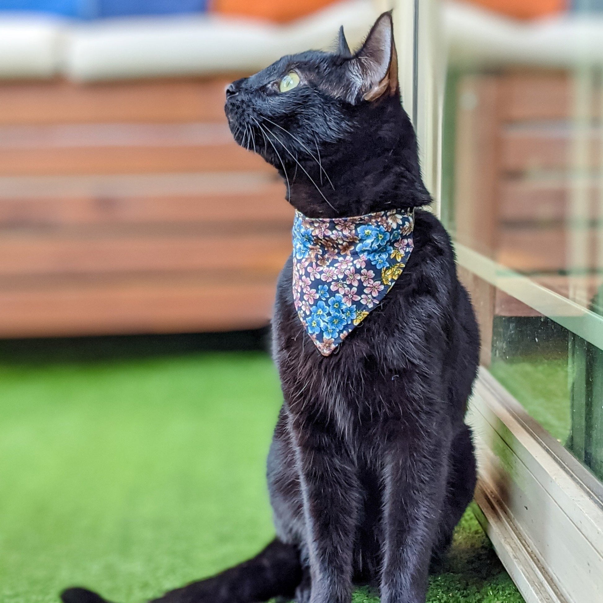Dog and Cat Indigo Floral Bandana - Whiskerful 3