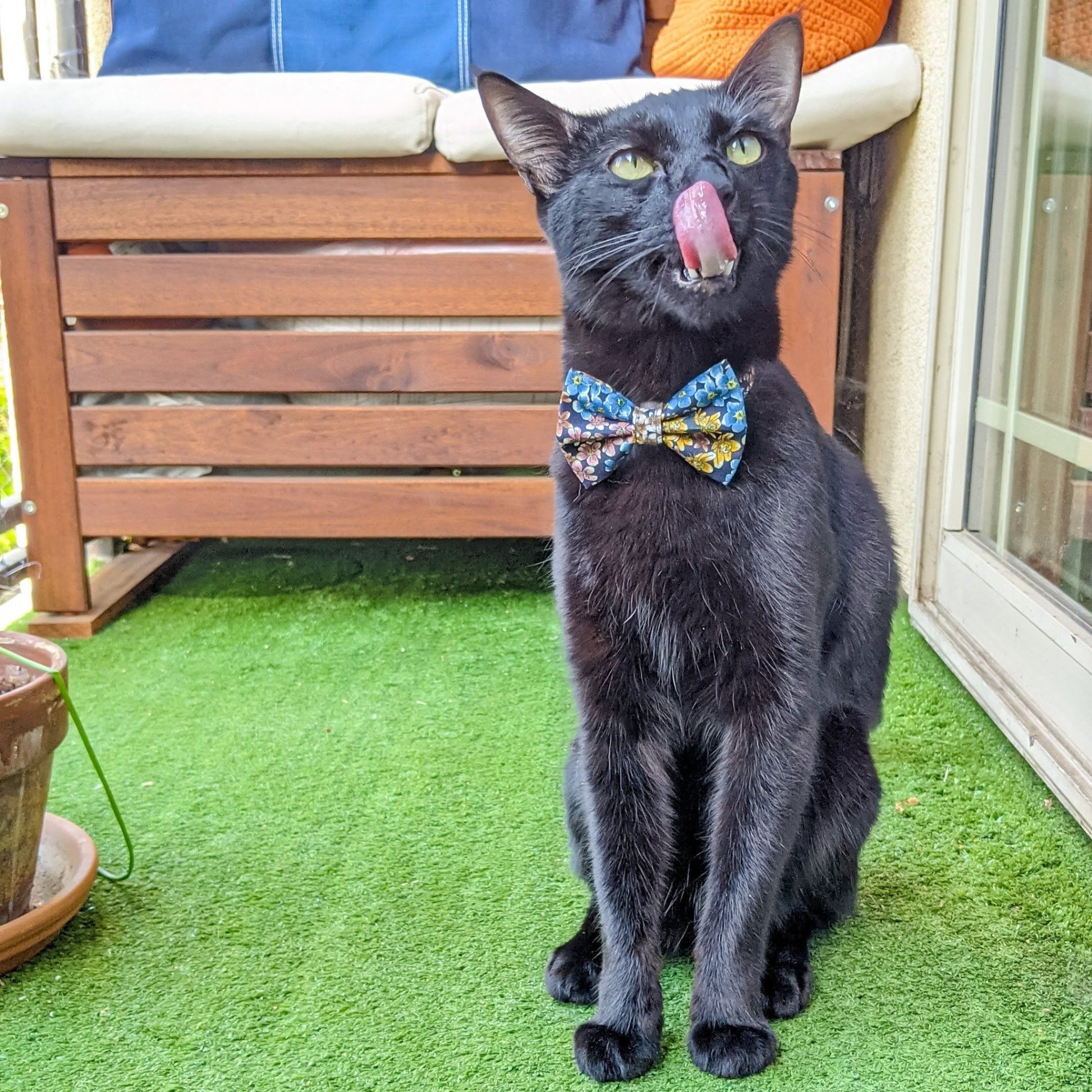 Dog and Cat Indigo Floral Bow Tie - Whiskerful 2