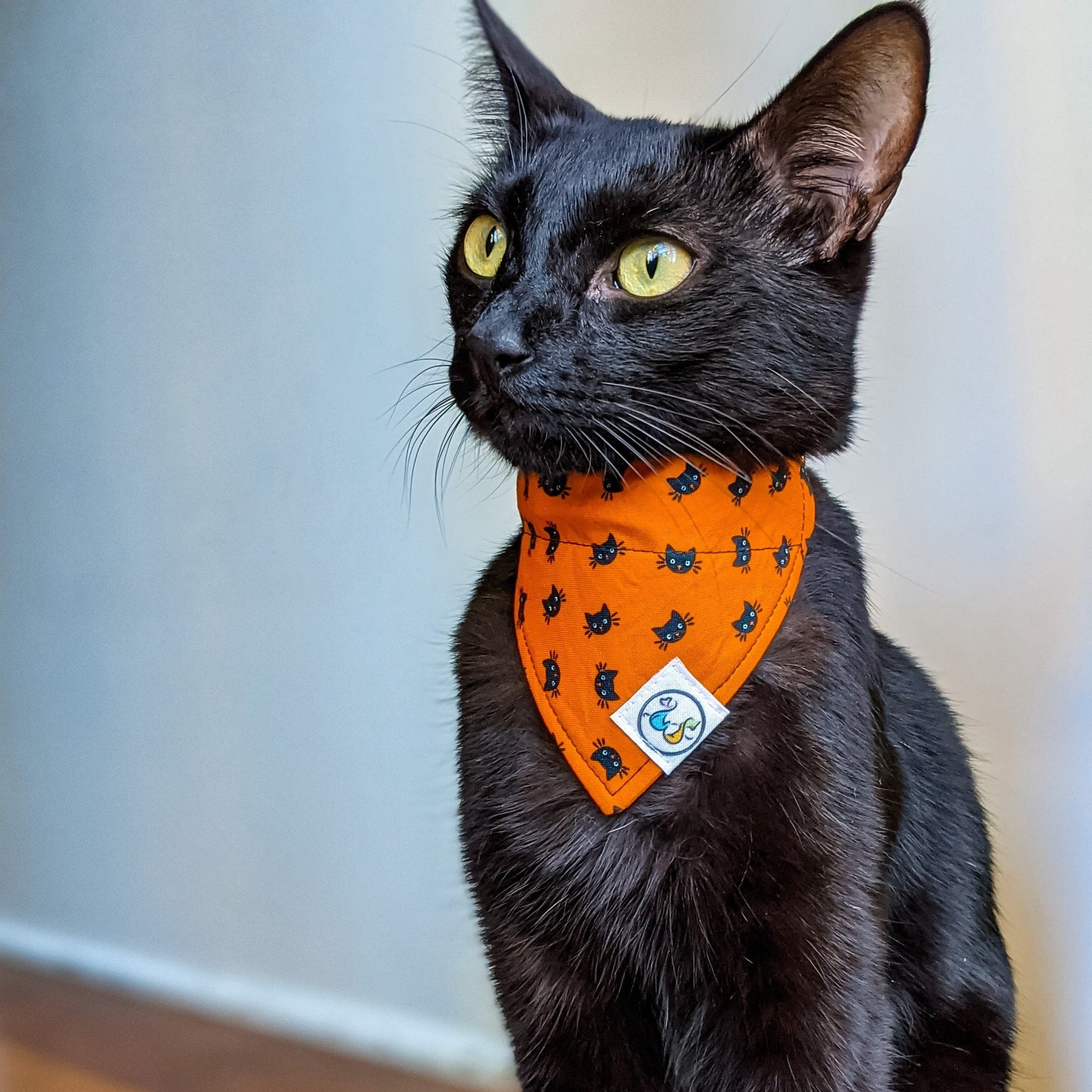 HalloweenBlackCat_Bandana3_lowres-Whiskerful.jpg