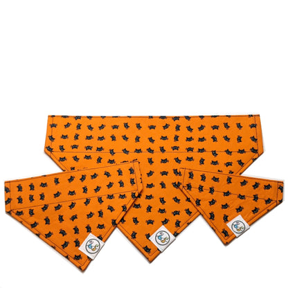 Halloween Black Cat Bandana
