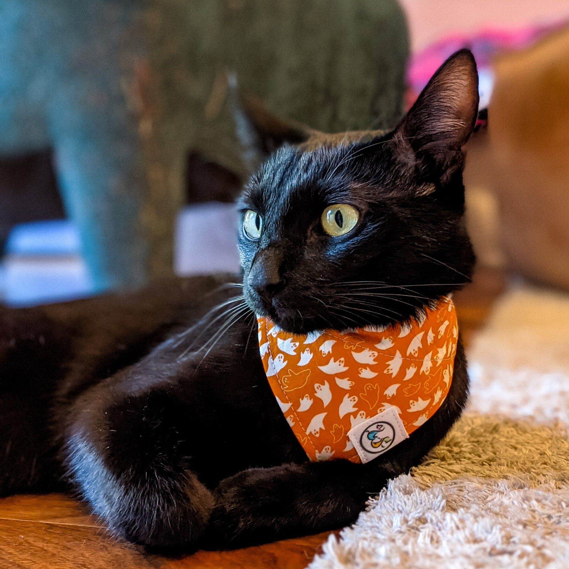 HalloweenGhost_Bandana1_lowres-Whiskerful.jpg