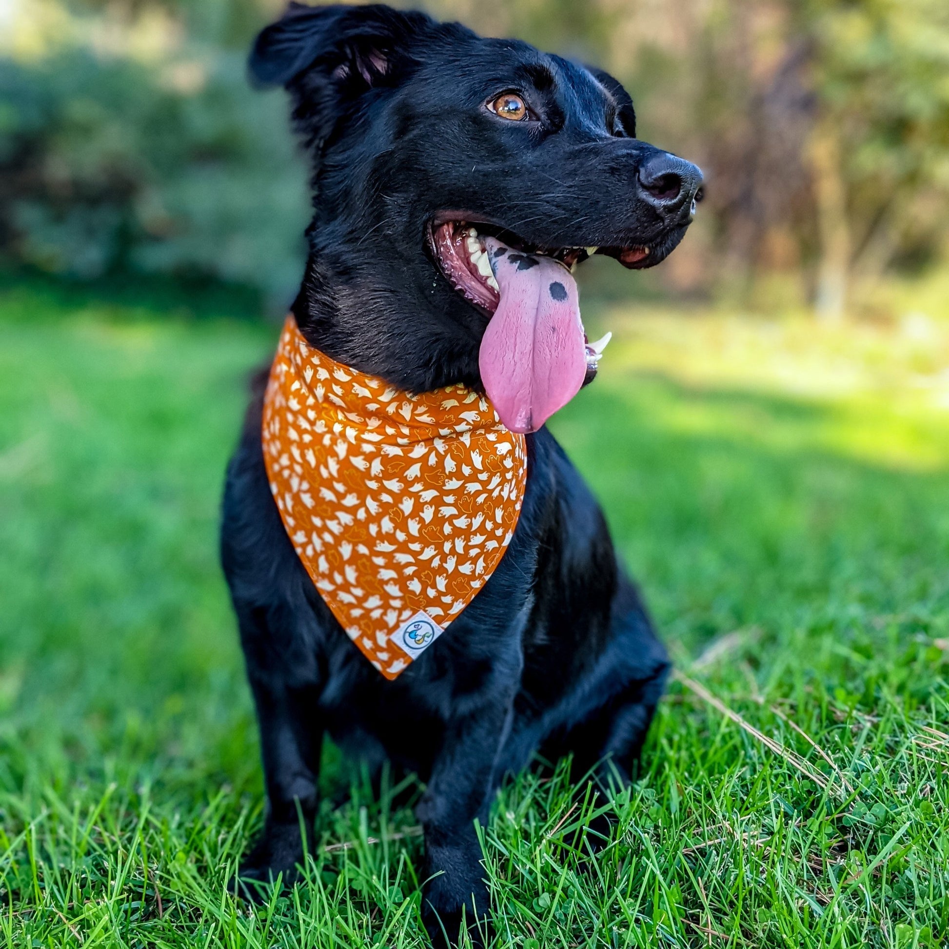 HalloweenGhost_Bandana5_lowres-Whiskerful.jpg