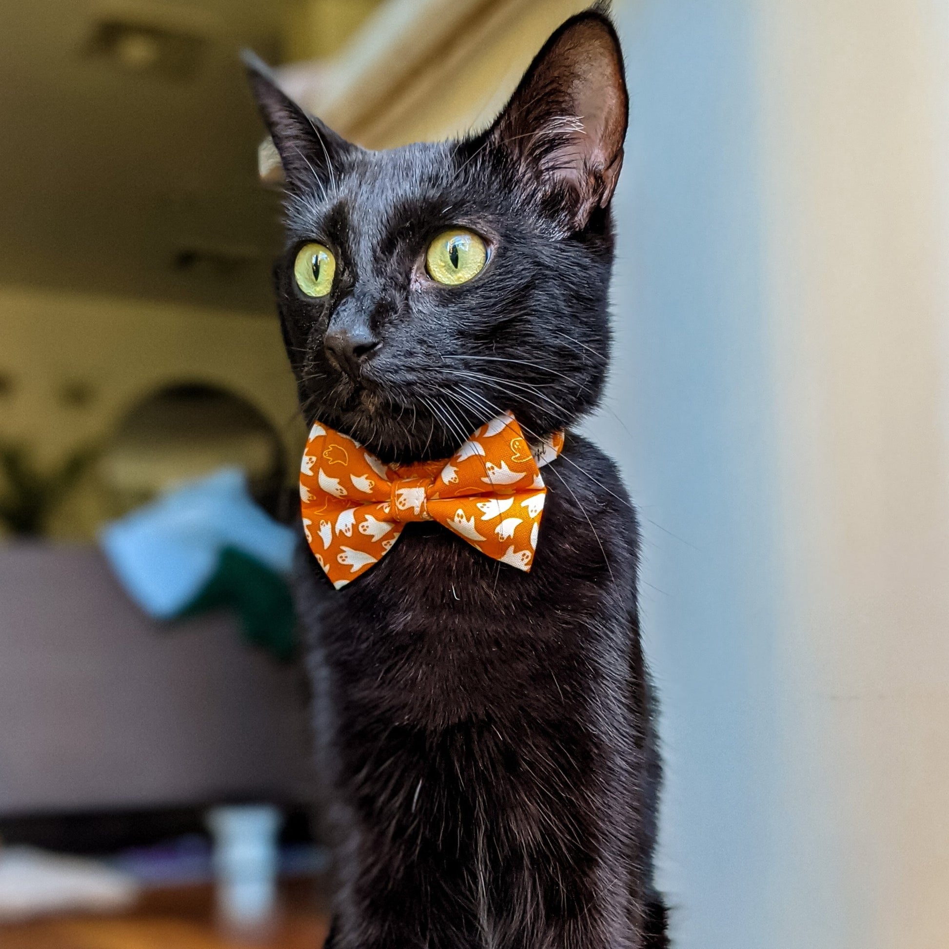 HalloweenGhost_BowTie1_lowres-Whiskerful.jpg
