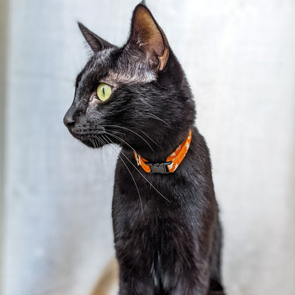 Halloween Ghost_Collar1_lowres-Whiskerful.JPG