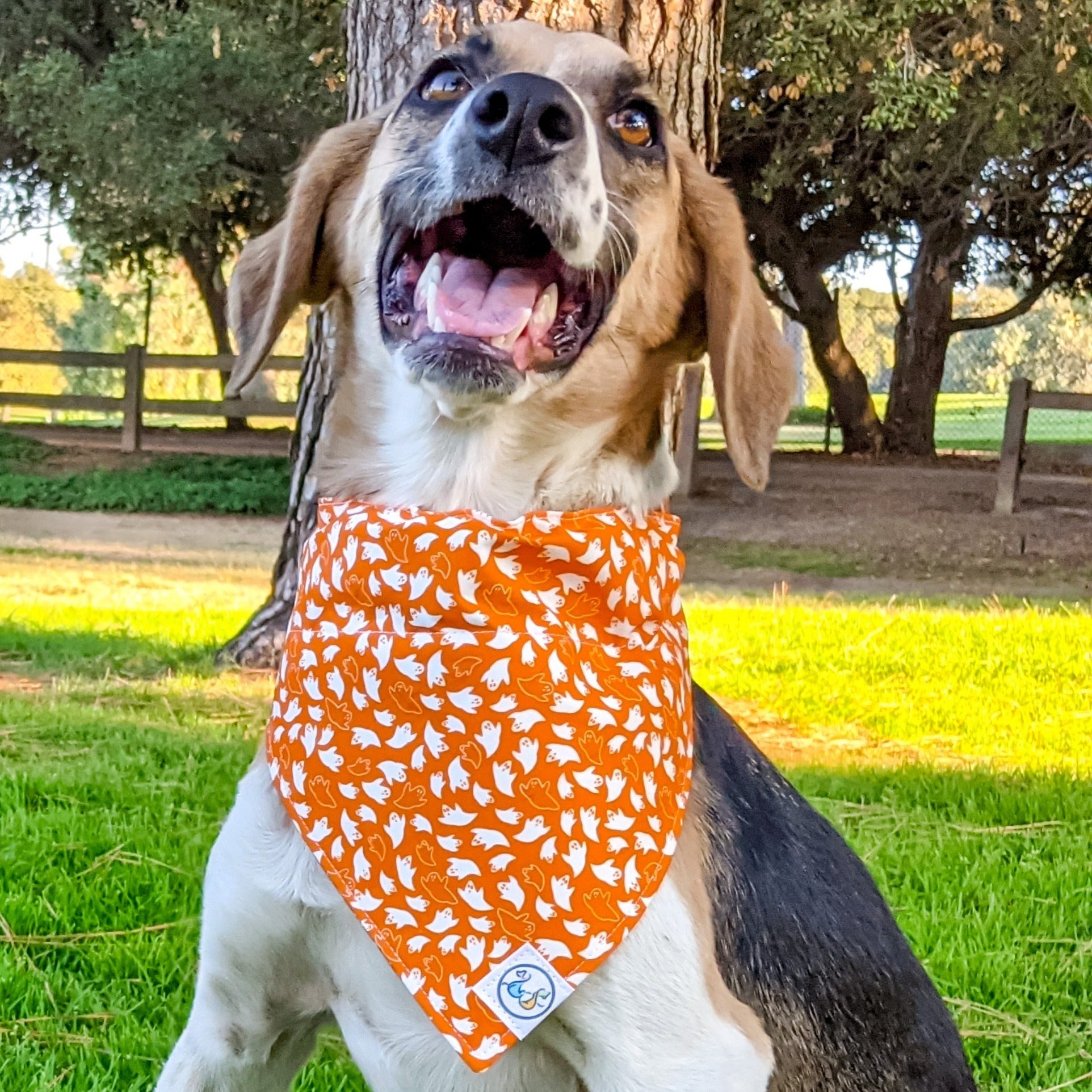 HalloweenGhost_Bandana4_lowres-Whiskerful.jpg