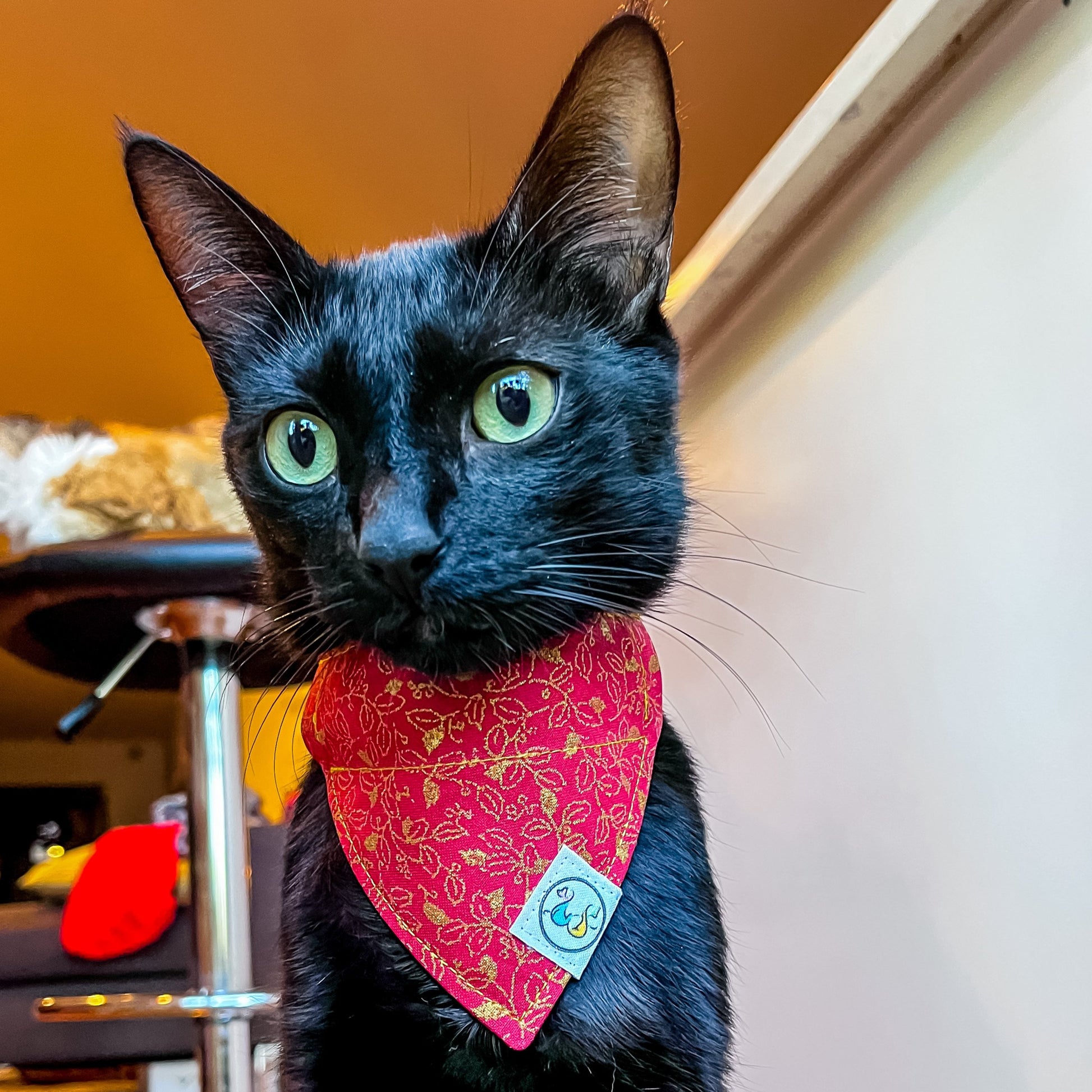 Milo-LuckyRedandGoldenLeaves-lowres1