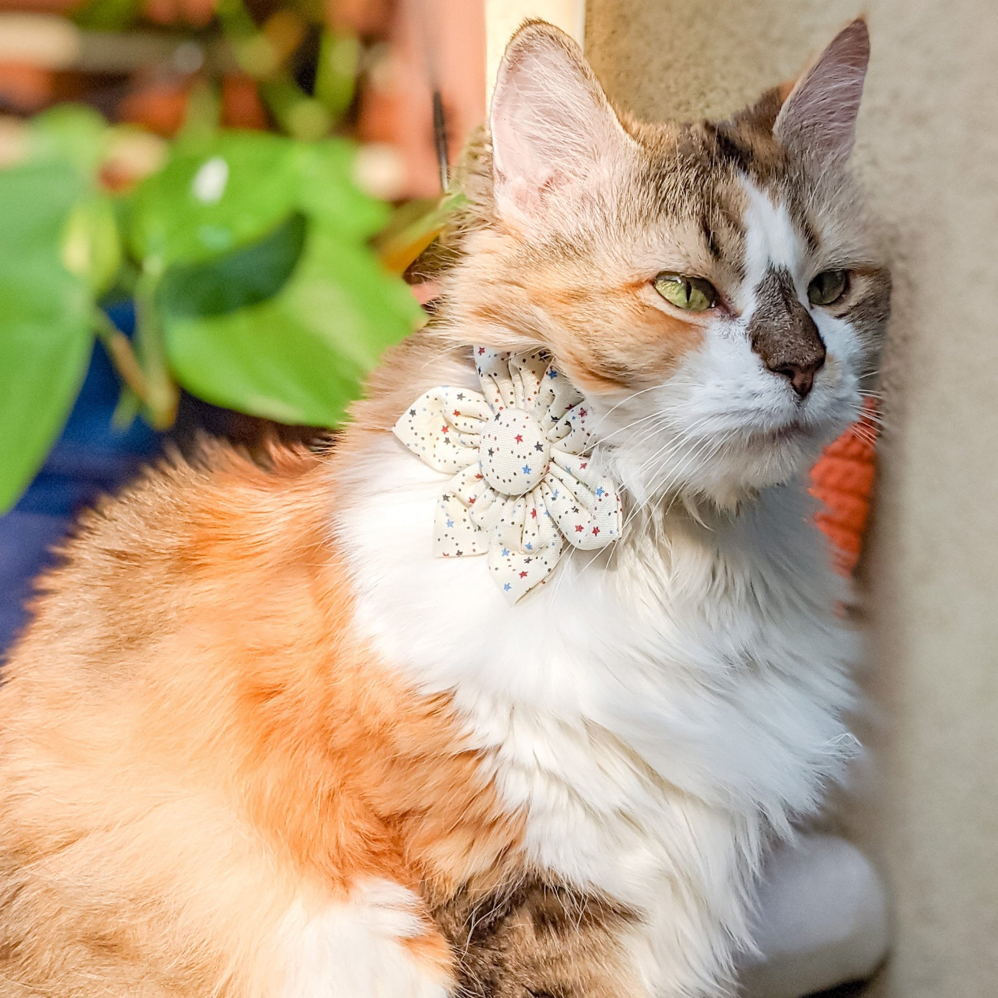 Mini Blue and Red Stars Kanzashi Flower for Dogs and Cats - Whiskerful 5