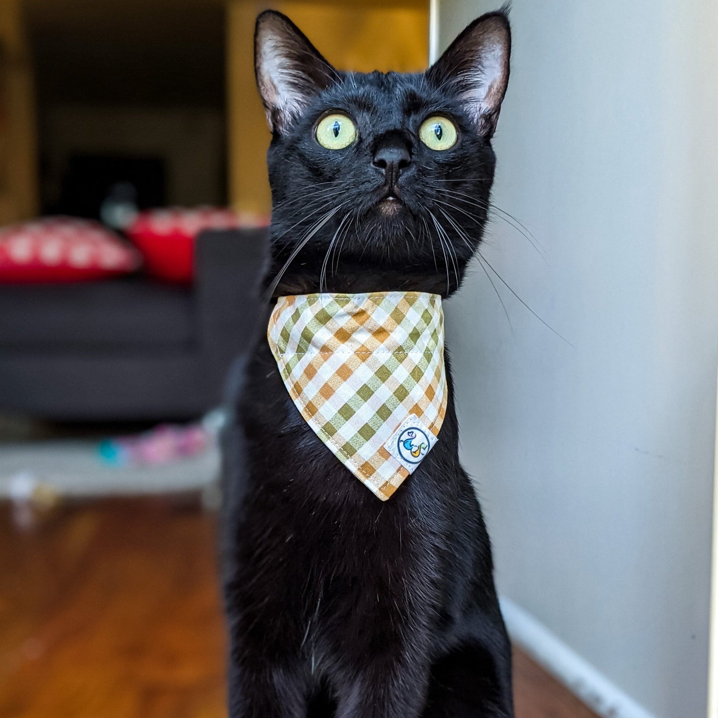 OrangeGreenPlaid_Bandana1_lowres-Whiskerful