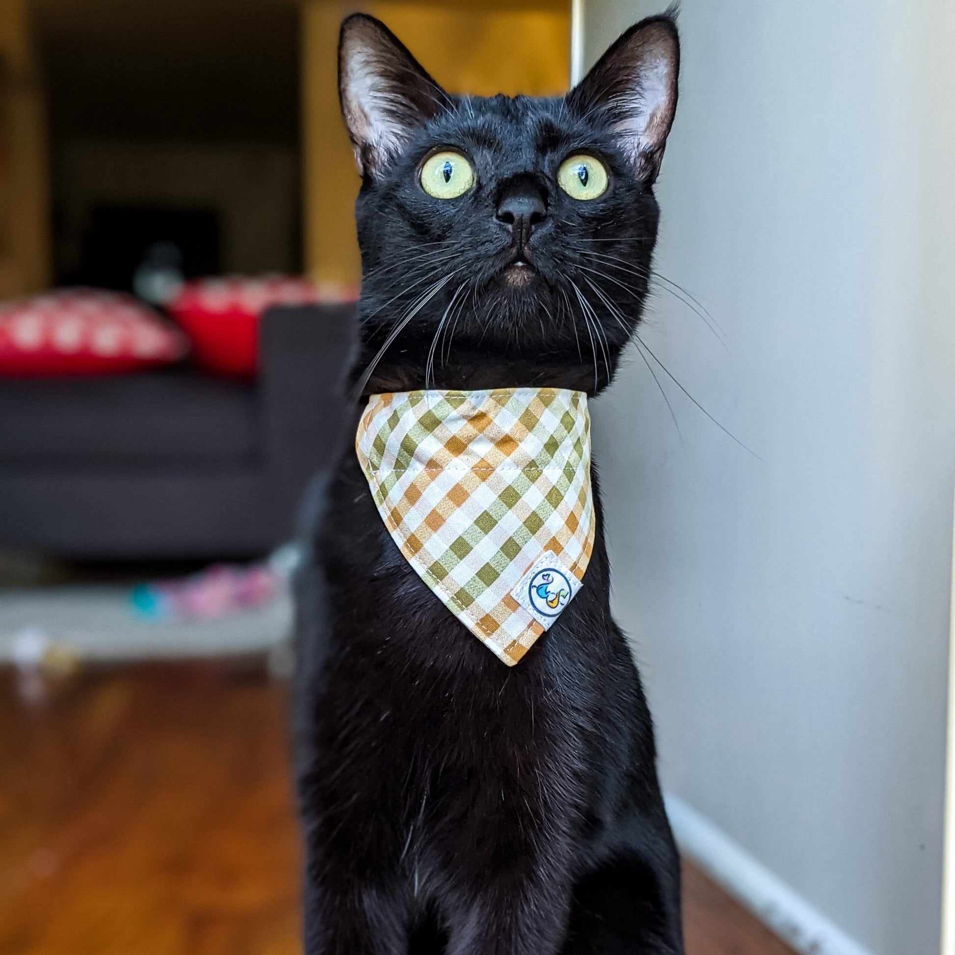 OrangeGreenPlaid_Bandana1_lowres-Whiskerful