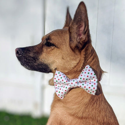 Red and Green Polka Dots Bow Tie for Dogs and Cats - Whiskerful 3